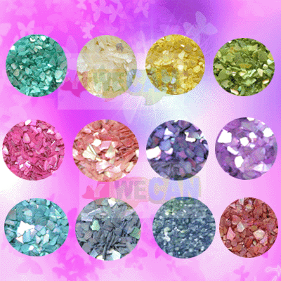 12 Colors Crushed Shell Powder Nail Art Decoration New